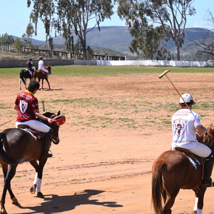 Camisa Deporitva Todos Santos Polo BLANCA